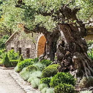 Domaine Les Mésanges Gassin